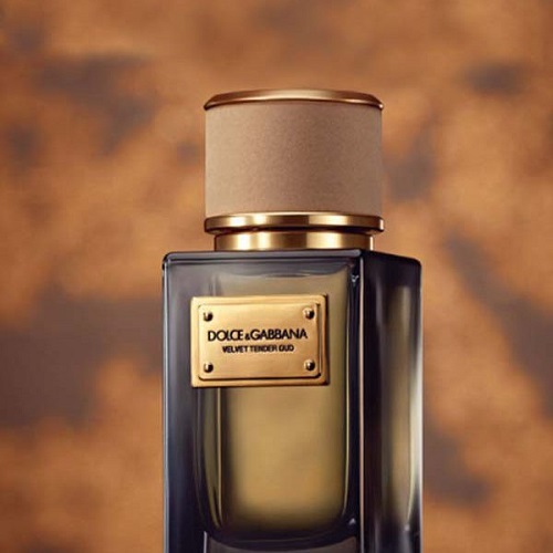 dolce gabbana velvet tender oud