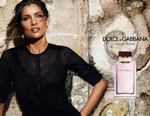 dolce gabbana malaki