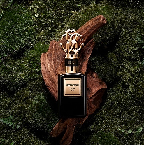 roberto cavalli oud prix