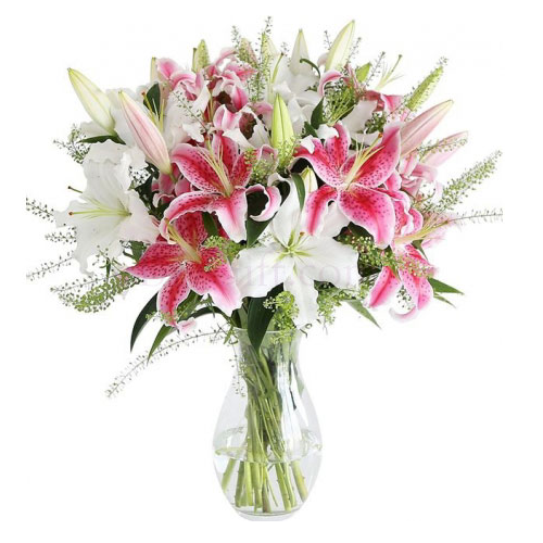 20 STEMS OF WHITE & PINK LILIES