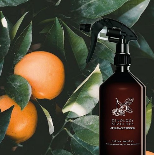 CITRUS NOBILIS -  MANDARIN GREEN TEA Ambiance Spray
