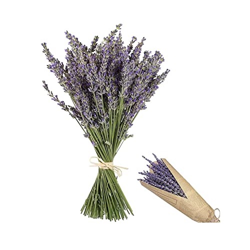 DRIED LAVENDER