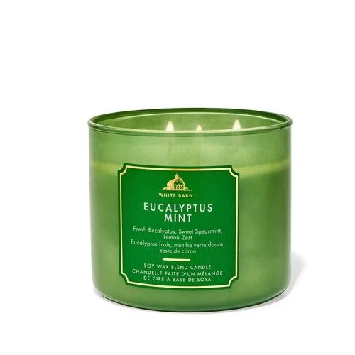 EUCALYPTUS MINT CANDLE