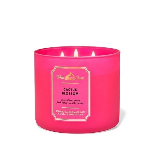 CACTUS BLOSSOM CANDLE