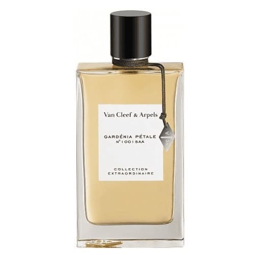 GARDENIA PETALE